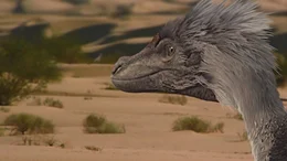 Ein Velociraptor.
