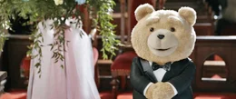 Ted kann es gar nicht erwarten, seine Verlobte Tami-Lynn zu heiraten. Wie lange das Liebesgl&uuml;ck dann wirklich anh&auml;lt, wird sich bald zeigen...