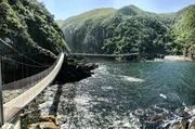 Blick auf die Suspension Bridge im Tsitsikamma National Park, die ber&uuml;hmteste H&auml;ngebr&uuml;cke an der Garden Route.
