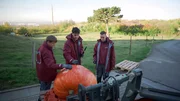 Jakob, Max und Anton stehen vor dem Riesenkürbis. Sie wollen ihn aushöhlen.