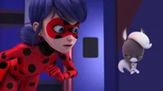On left: ladybug