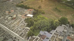 Vor der Ausgrabung: Die "Gasse der Balkone" ist noch mit dichter Vegetation bedeckt.