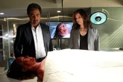 Müssen einen neuen Fall aufklären: Rossi (Joe Mantegna, l.) und Alex (Jeanne Tripplehorn, r.) ...