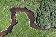 Von der Barentssee bis ans Schwarze Meer beobachten Forscher die reichhaltigen Tier- und Pflanzenarten dort, wo früher der Eiserne Vorhang verlief. Von der Barentssee bis ans Schwarze Meer beobachten Forscher die reichhaltigen Tier- und Pflanzenarten dort, wo früher der Eiserne Vorhang verlief.
