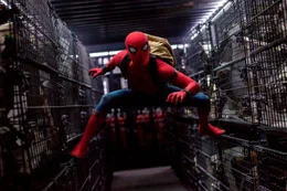 Spider-Man (Tom Holland)