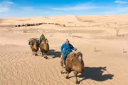 Nomadische Kamelzüchter in der Wüste Gobi müssen ihre Routen an die Folgen des Klimawandels anpassen und bangen jeden Tag um den Erhalt ihrer Kultur.