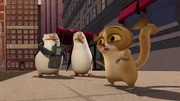 L-R: Skipper, Rico, Mort.