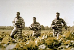 L-R: Pete Hogwallop (John Turturro), Delmar O'Donnell (Tim Blake Nelson), Everett (George Clooney)
