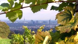 Blick auf Wien vom Cobenzl.