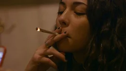 Legal, und doch ein bisschen illegal: Die Coffeeshops in Amsterdam k&ouml;nnen Haschisch zwar verkaufen, nicht jedoch selbst anbauen oder legal einkaufen.