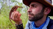 Coyote Peterson Coyote Peterson
