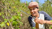 Tierreporterin Pia bekämpft in Indien das invasive Wandelröschen mit einer Machete.