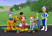 MICKEY AND THE ROADSTER RACERS - "Ready, Get Pet... GO PLUTO!" - Famous racer Danni Sue and her dog Dallas enter Hot Dog Hills' first Pets and Pistons Race. DAISY DUCK, PLUTO, CUCKOO LOCA, MICKEY MOUSE, DALLAS, DANNI SUE