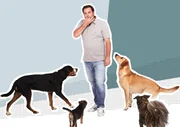 Hundeprofi Martin Rütter Hundeprofi Martin Rütter