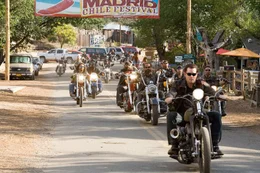 Born to be Wild - saum&auml;&szlig;ig unterwegs ....