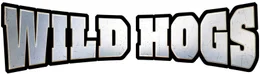 BORN TO BE WILD - SAUM&Auml;SSIG UNTERWEGS - Originaltitellogo