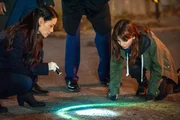 Watson und Kitty versuchen alles, um den gefährlichen Copkiller zu stoppen.