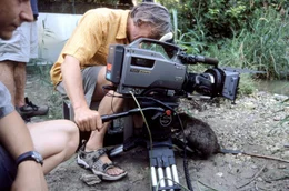 Zu nahe dran &ndash; ungew&ouml;hnliche Probleme f&uuml;r Naturfilmer.