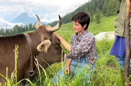 Die Milchk&uuml;he auf der Malga Telvagola bekommen eine extra Streicheleinheit.