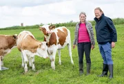 Friesland, Smallebrugge: Bj&ouml;rn Freitag (re.) mit Pytsje Bokma (li.). Die Familie Bokma lebt hier mit ihrem Milchvieh auf den kleinen Inseln eines Naturschutzgebiets, das "Goldener Boden" genannt wird. Ihre "schwimmende Farm", ist, ausschlie&szlig;lich per Boot zu erreichen. Vom Deutschen Fleckvieh, welches die kr&auml;uterreichen Weiden mit vielen Wiesenv&ouml;geln teilt, beziehen sie sowohl Fleisch als auch Milch.