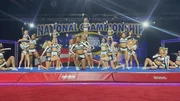 Cheerleading ist in den USA nicht nur eine Unterhaltungseinlage, sondern l&auml;ngst eine eigene Sportart, f&uuml;r die Universit&auml;ten sogar Stipendien vergeben.