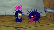 L-R: Plankton, sea urchin