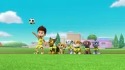 L-R: Ryder, Chase, Skye, Marshall, Rubble, Zuma, Rocky