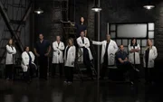 (9. Staffel) - Grey's Anatomy: April (Sarah Drew, l.), Callie (Sara Ramirez, 2.v.r.), Alex (Justin Chambers, 3.v.l.), Arizona (Jessica Capshaw, r.), Derek (Patrick Dempsey, 5.v.r.), Meredith (Ellen Pompeo, 5.v.l.), Richard (James Pickens, Jr., 4.v.r.), Cristina (Sandra Oh, M.), Owen (Kevin McKidd, 4.v.l.), Miranda (Chandra Wilson, 2.v.l.) und Jackson (Jesse Williams, 3.v.r.) ...