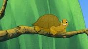 Schildkröte Törtel hat sich in schwindelerregende Höhe begeben - und das nur, weil er seinem Freund helfen wollte, seine Liebste zurückzuerobern. Doch wie befreit sich die Schildkröte jetzt aus dieser brenzligen Situation? Schildkröte Törtel hat sich in schwindelerregende Höhe begeben - und das nur, weil er seinem Freund helfen wollte, seine Liebste zurückzuerobern. Doch wie befreit sich die Schildkröte jetzt aus dieser brenzligen Situation?