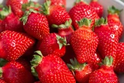 Erdbeeren zum Empfang der Landfrauen.