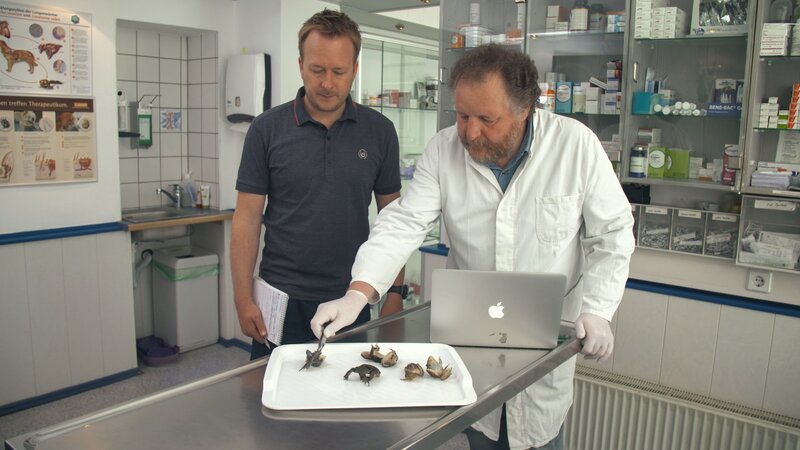 Strange World (USA, 2022)