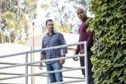 Ein neuer Fall beschäftigt Callen (Chris O'Donnell, l.) und Sam (LL Cool J, r.) ...