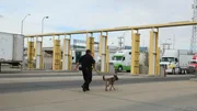 A CBP officer is patrolling the El Paso, TX border drive through lines with their K9.