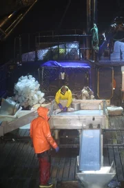 Cape Caution deck work