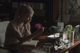 Als Amy (Rosamund Pike) beginnt, ein Tagebuch zu f&uuml;hren, verfolgt sie nur ein Ziel: die Vernichtung ihres Ehemannes!