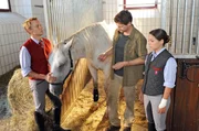 (v.li.): Christoph von Friedl (Karl Lenz), Thomas Unger (Dr. Michael Haas), Jennifer Newrkla (Maria Schachner).