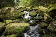 Großer Kamp, Höllfall, Niederösterreich