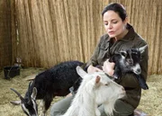 Esel Eddys Futterboykott stellt Dr. Susanne Mertens (Elisabeth Lanz) vor ein Rätsel. Erst durch Anetts Bemerkung kommt sie darauf, dass der Esel unter Liebeskummer leidet, weil er Freundin Lilly, eine frischgebackene Ziegenmutti, vermisst.
