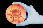Bakterien gelten als Evolutionswunder. Wenn multiresistente Keime ihre Widerstandsfähigkeit untereinander weitergeben, wird das zum Problem. Bakterien gelten als Evolutionswunder. Wenn multiresistente Keime ihre Widerstandsfähigkeit untereinander weitergeben, wird das zum Problem.