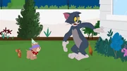 Durch Tom (r.) und Jerry (l.) wird Tykes Geburtstagsfeier ein Disaster; Vater Spike hat eine gerechte Strafe für die beiden.