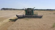 Biobauern nehmen Unkraut im Kornfeld in Kauf, wenn sie nicht genver&auml;ndertes Saatgut anbauen. Modernes Gensaatgut wird von den Herstellern so gestaltet, dass es zielgenau eingesetzte Pestizide desselben Anbieters &uuml;berlebt.