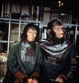 Die fremdartigen Affenwesen Cornelius (Roddy McDowall, r.) und Zira (Kim Hunter, l.) sind zun&auml;chst eine Sensation und werden von den Erdenbewohnern herzlich aufgenommen. Das &auml;ndert sich schlagartig, als bekannt wird, dass Zira Nachwuchs erwartet. Regierung und Wissenschaft sehen den Fortbestand der Menschheit bedroht ...