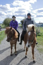 Ausreiten macht Pony und Reiter Spaß. Alleine Ausreiten darf man aber erst, wenn man sicher reiten kann. Ausreiten macht Pony und Reiter Spaß. Alleine Ausreiten darf man aber erst, wenn man sicher reiten kann.