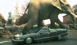 Ich bin ein Elefant, Madame: Eine von "Jumanji" herbeigezauberte wilde Elefantenherde stampft durch den Ort und hinterl&auml;&szlig;t eine Schneise der Verw&uuml;stung ...