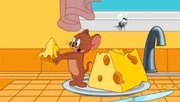 v.li.: Jerry, Fly