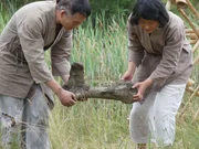 Im 2. Jahrhundert vor Christus sto&szlig;en Arbeiter in der heutigen chinesischen Provinz Sichuan auf einen gewaltigen Knochen. Der zu Rate gezogene Gelehrte ist sich sicher: Die muss die Hinterlassenschaft eines Drachen sein.