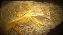Spektakul&auml;r: die pr&auml;chtigen Goldbleche aus dem Grabschatz. Der Restaurator Christian Eckmann und sein Team haben sie in jahrelanger Kleinarbeit aus tausenden Fragmenten zusammengepuzzelt.