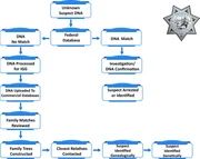 Schematische Darstellung