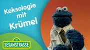Krümelmonster fragt sich: Schmecken Kekse?