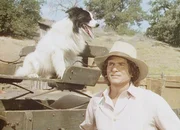 Ein streunender Hund hat sich Charles (Michael Landon) angeschlossen. Wegen seiner sonderbaren Musterung nennen ihn die Ingalls "Bandit".